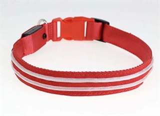 Rød hundehalsbånd med rødt lys - Size: M